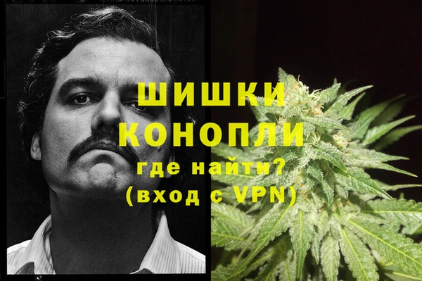 альфа пвп Медногорск