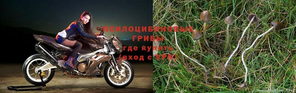 МДПВ Михайловск