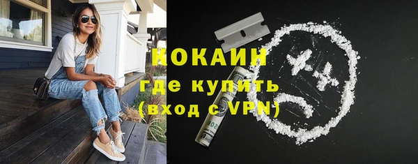 соль ск Ельня