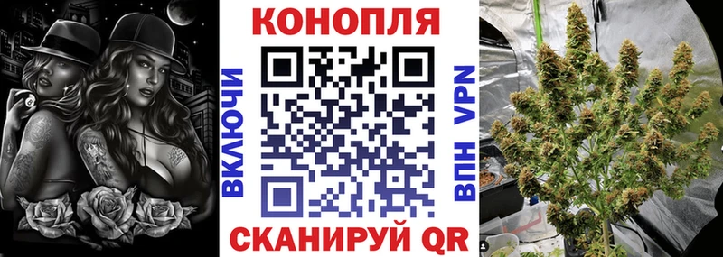 где продают наркотики  Петухово  МЕГА маркетплейс  Каннабис MAZAR 